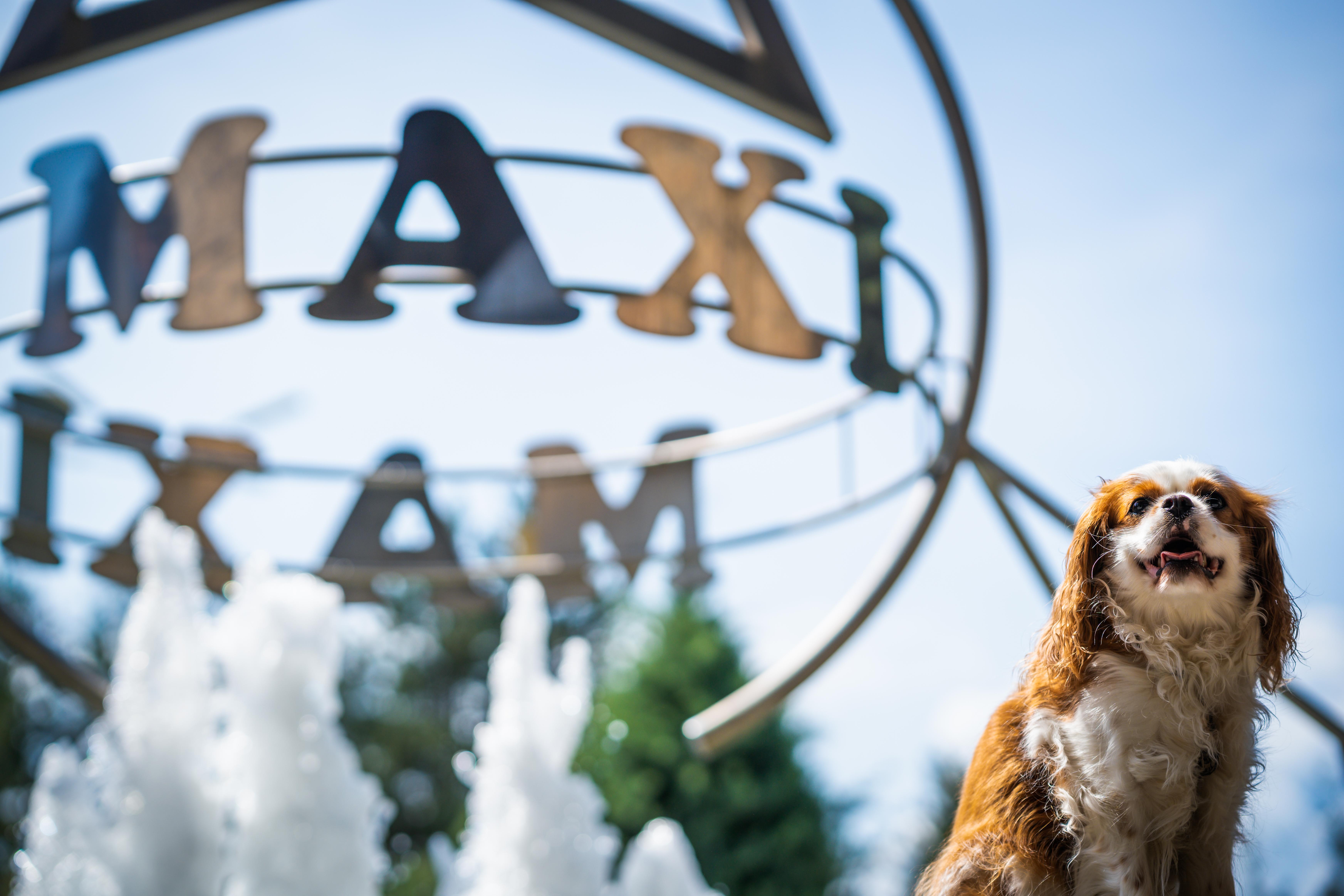 Maxi Park Hotel & Spa Велинград Экстерьер фото
